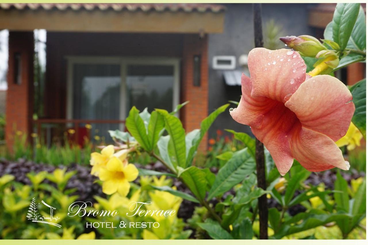 Bromo Terrace Hotel Exterior foto