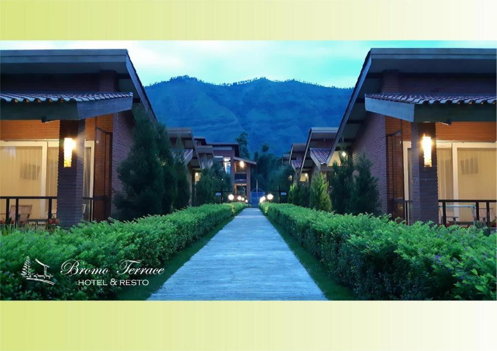 Bromo Terrace Hotel Exterior foto