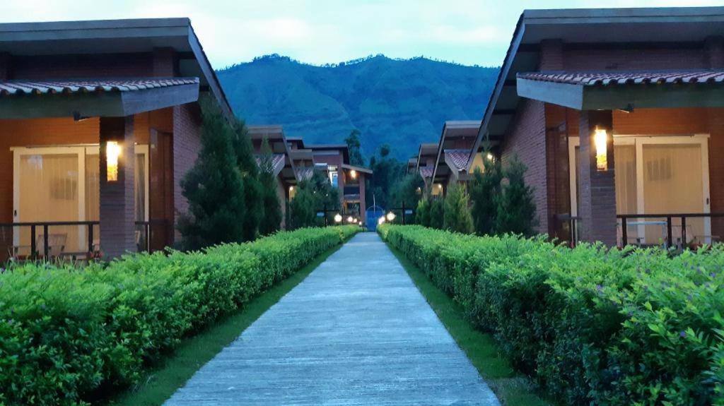 Bromo Terrace Hotel Exterior foto